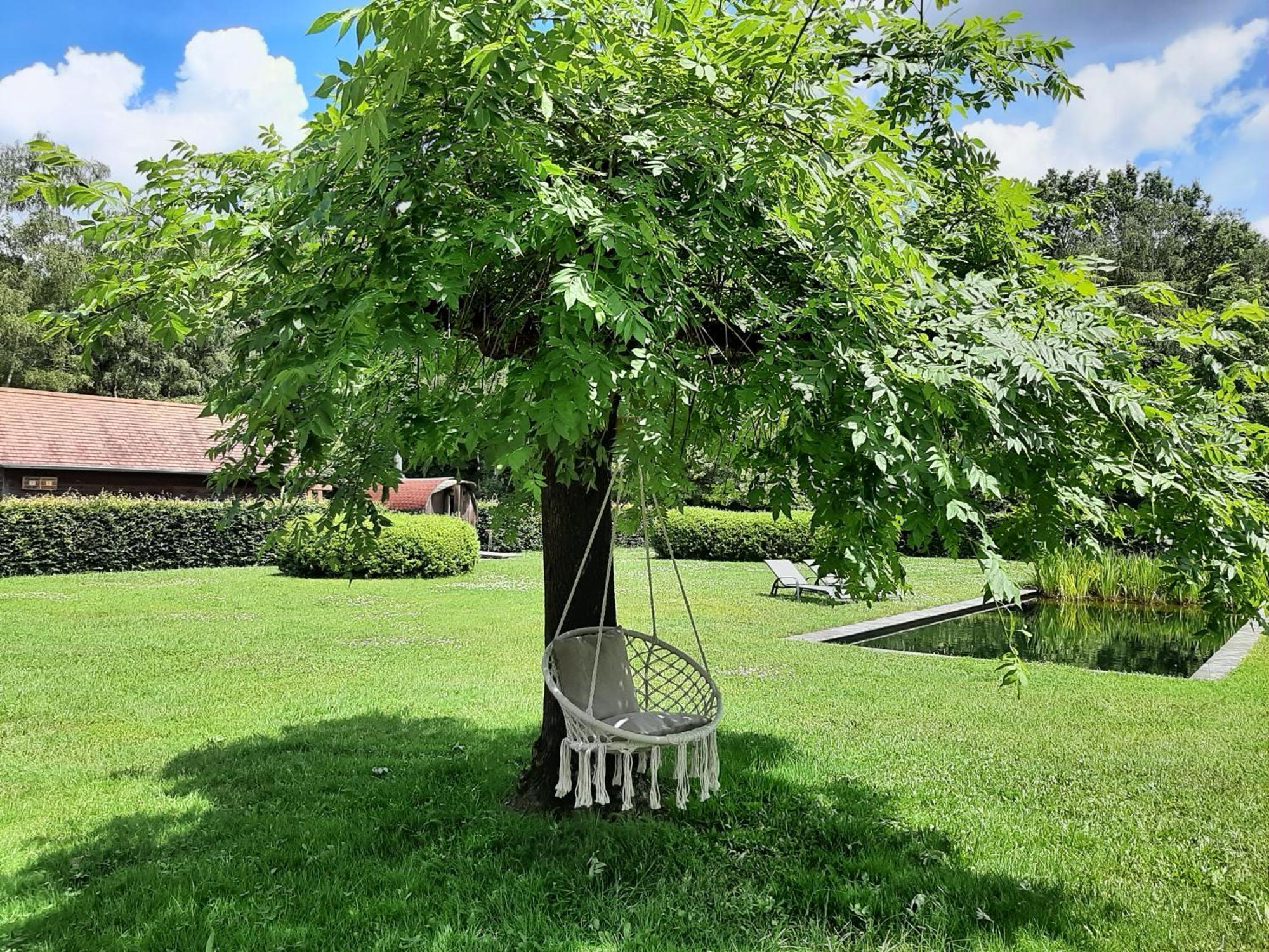 B&B De Levensboom Tessenderlo Экстерьер фото